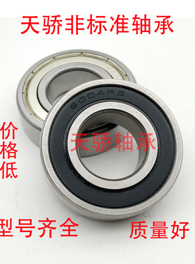 19*45* 204KRR2 非标天骄轴承