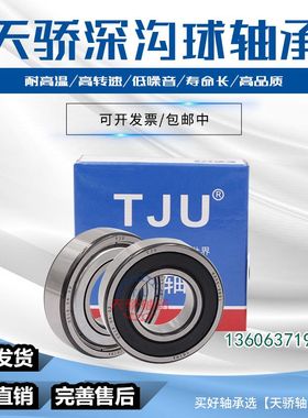 天骄轴承305804C-2Z 305805C-2Z 305806C-2Z 305807C-2