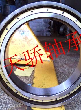 61956M 天骄薄壁轴承  6956-2RS 1000956M 铜保持架 61956-2RS