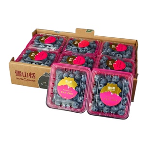 云南雪山蓝莓5斤脆甜多汁L25蓝莓雪山恬鲜果蓝莓怡颗蓝孕妇水果