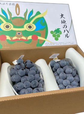 大地之水蓝莓葡萄5斤无籽现货