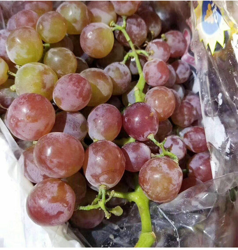 智利慕斯卡香水葡萄玫瑰香美人提子新鲜水果2斤整箱水果顺丰空运