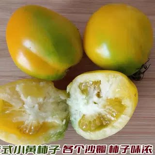 黑龙江新鲜黄色西红柿东北农家小黄柿子自然熟沙瓤番茄 2斤/5斤