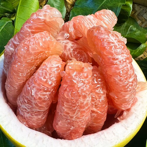 广西南丹特产红心蜜柚新鲜水果当季现摘现发薄皮红肉精品10斤包邮