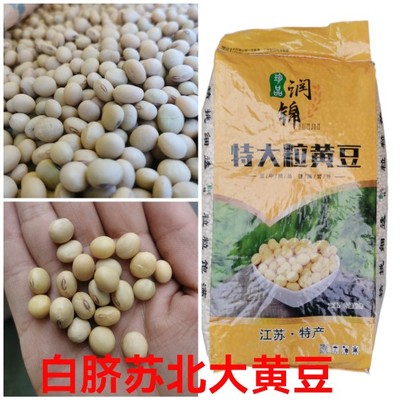 苏北白嘴大黄豆豆腐煲汤非转基因50斤包装随机发【江浙沪皖】包邮