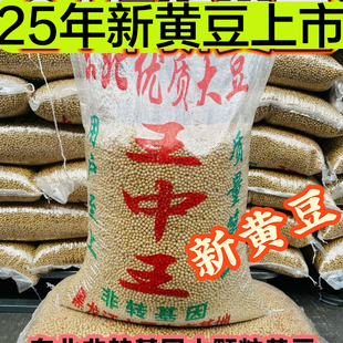 50斤东北黑龙江小黄豆豆浆食品专用豆50斤包邮