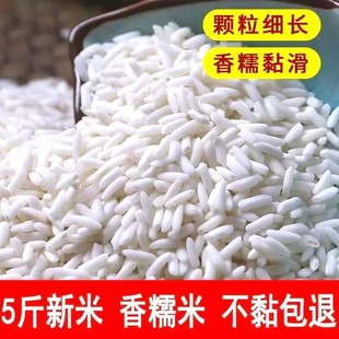 新长糯米农家糯米包粽子的糯米做饭团糯米新江米粘米