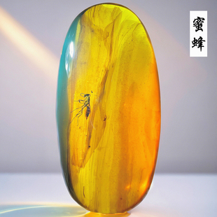 纯天然缅甸老蜜蜡琥珀原石吊坠蜜蜂虫珀水胆昆虫化石标本项链收藏