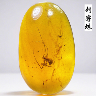 纯天然缅甸真琥珀原石原矿老蜜蜡蜘蛛虫珀收藏级昆虫化石标本吊坠