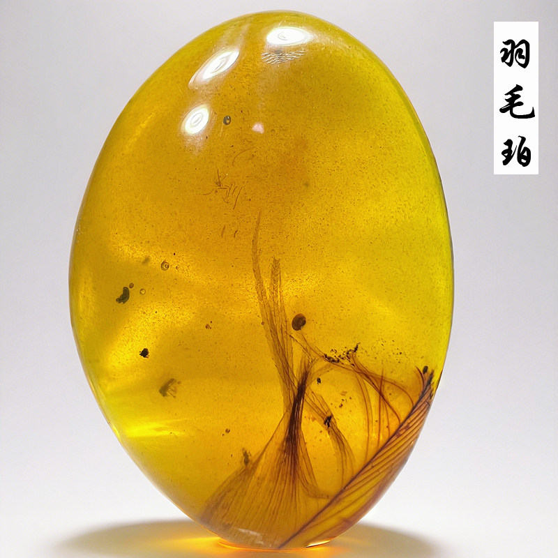 原矿纯天然缅甸蜜蜡虫珀三宝蝎子琥珀白垩纪恐龙羽毛动物化石标本