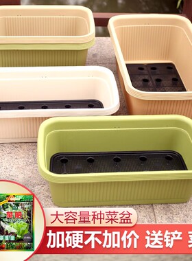 爱丽思菜盆花卉绿植种植盆果蔬塑料盆树脂长方盆田园地面储水时尚