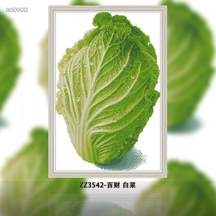 十字绣2025年新款 白菜 百财 简约客厅现代风景美食蔬菜 ZZ3542