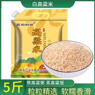 高粱米5斤 新货新白高粱米健康粗粮五谷杂粮东北白高粱米农家特产