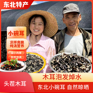 头茬春耳  新木耳黑龙江东宁木耳黑木耳肉厚无根干净高泡发包真货