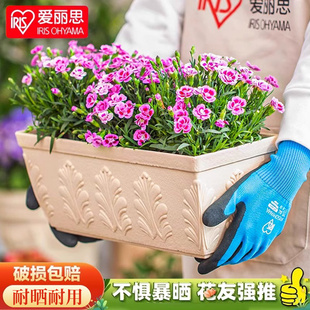 爱丽思花盆凸纹系列长条形方盆加厚家居阳台种菜园艺大号神器花盆