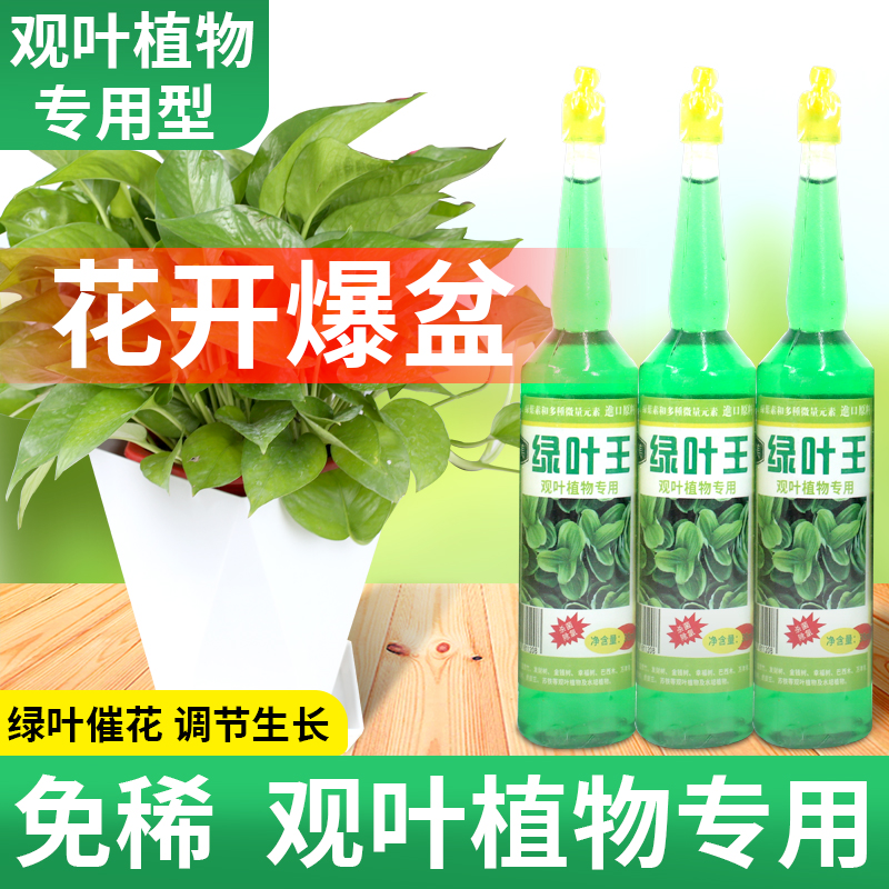 卉美绿叶王植物通用浓缩营养液绿萝文竹有机肥料水培盆栽营养液肥