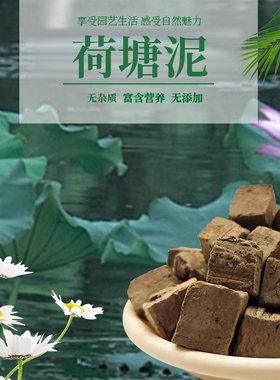 卉美塘泥土方块塘泥荷花土池塘土
