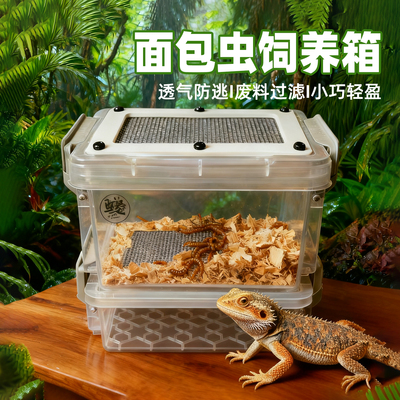 防臭防潮面包虫饲养盒