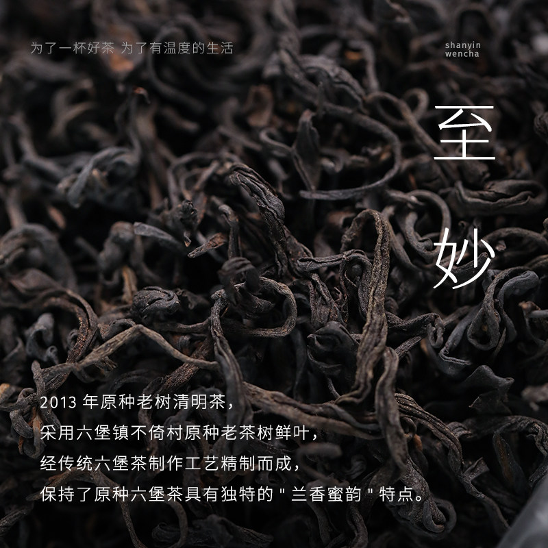 年少成名！ 2013年代至妙社前双料茶王六堡 清凉花蜜香 兰香蜜韵图片