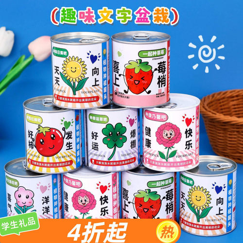 网红番茄罐头植物种植罐头学生奖励礼品学校幼儿园小礼品