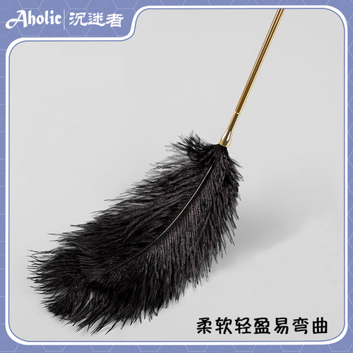 【Aholic 沉迷者】黑色羽毛棒金属鞭可拆卸挠痒痒玩具 多种款式