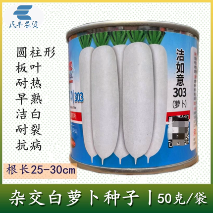 洁如意303杂交白萝卜种子50g 板叶早熟耐热圆柱形萝卜种籽春夏秋