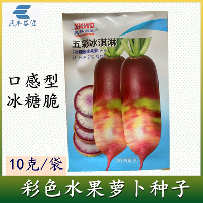 白萝卜杂交种子春白玉春秋播