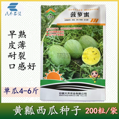 西瓜种子大齐菠萝蜜礼品黄心西瓜种子 黄壤西瓜种籽 小果型糖度高