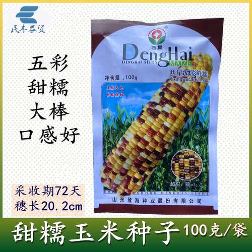 西星五彩鲜糯玉米种子 甜糯玉米 鲜食花粒粘玉米种密花甜糯