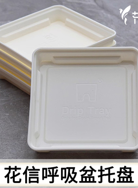 花信呼吸盆托盘树脂沥水托盘方托盘树脂透明方便观察配件