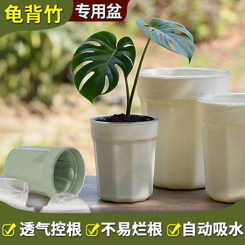 网红懒人自吸水花盆塑料树脂龟背竹秋海棠热植专用水培器皿套盆
