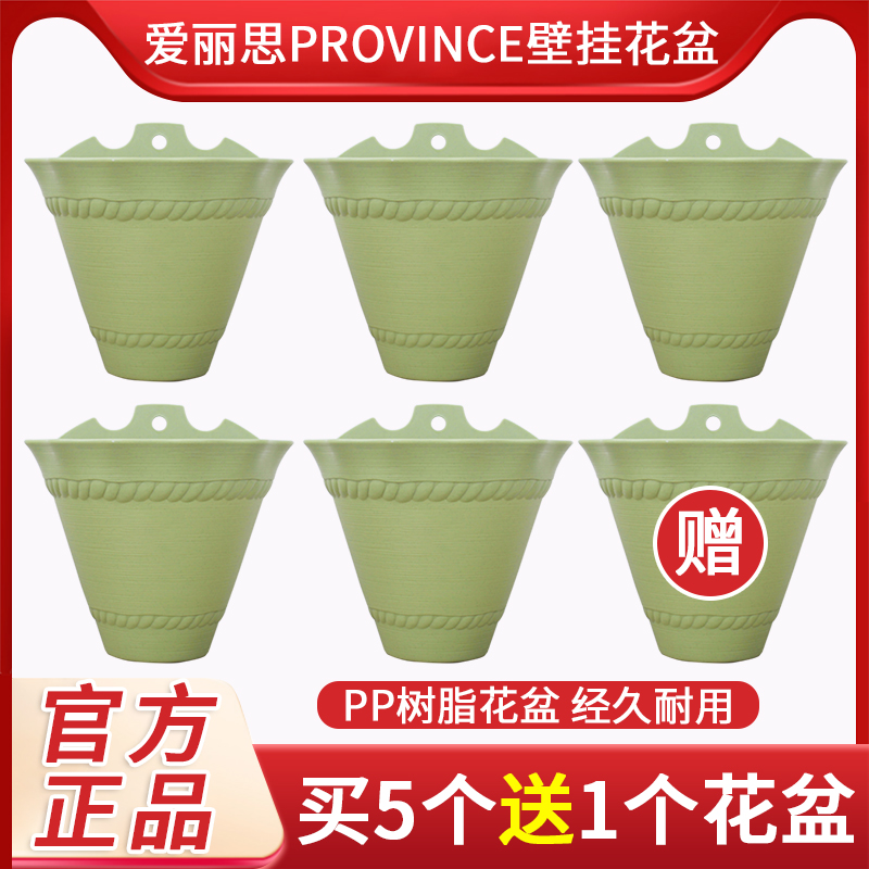 爱丽丝壁挂花盆爱丽思树脂悬挂墙壁特价阳台挂钩植物绿萝懒人吸水