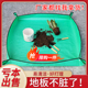 园艺地垫加厚多肉绿植阳台翻盆换土花垫拌土种植工具防水垫子花园