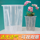 透明可视空气柱控根青山盆绿植盆栽石斛蝴蝶兰兰花月季 扦插种植盆
