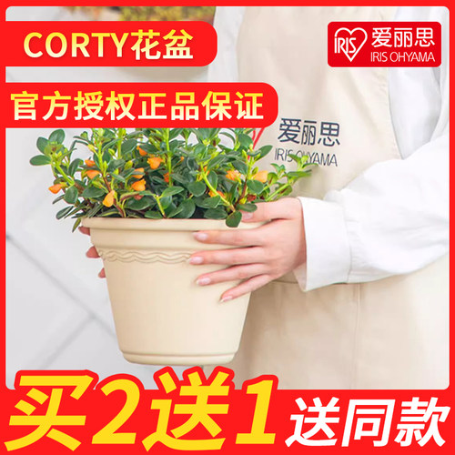 爱丽思蛋糕杯情绪稳定控根树脂加仑盆月季绣球绿萝爱丽丝塑料花盆