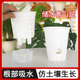 储水青山盆自吸水懒人塑料加厚透气半水培大号pp树脂白色控根花盆