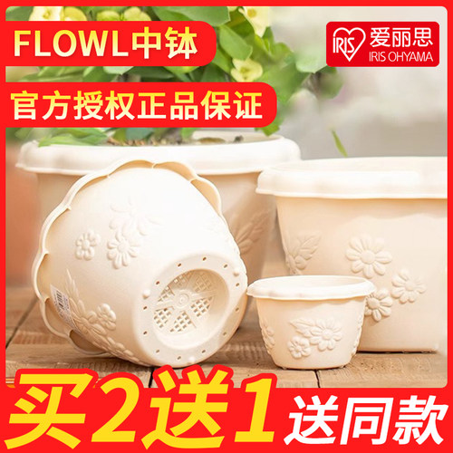 爱丽丝花盆中钵加仑植物控根创意绿萝多肉兰花塑料树脂爱丽思盆