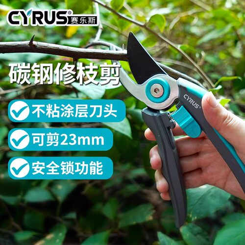 园艺剪刀剪树枝修剪植物SK5盆栽花艺修枝剪雪柳花园修花家用花剪