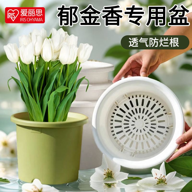 爱丽思Deepot盆栽家用青山树脂加仑盆绣球郁金香爱丽丝塑料花盆