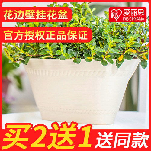爱丽丝壁挂花盆爱丽思树脂悬挂墙壁特价阳台挂钩植物绿萝懒人吸水