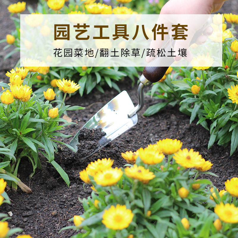 园艺工具不锈钢铲户外挖土盆景小型花卉盆栽铁锹家用养花种菜铲子