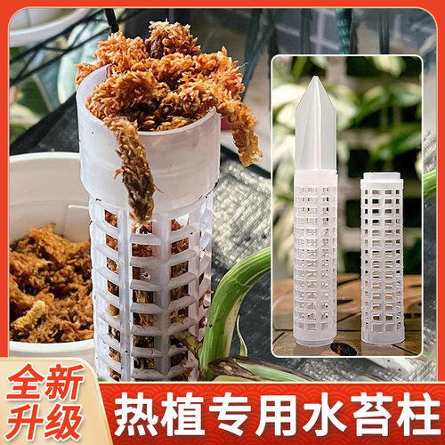 水苔柱热植爬藤固定支架
