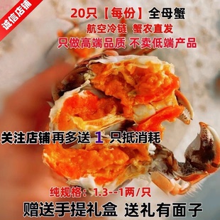 盘锦河蟹稻田蟹辽宁包邮大闸蟹鲜活螃蟹现货保肥全母手提礼盒