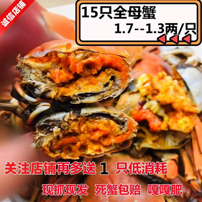 盘锦河蟹稻田鲜活现货16中秋