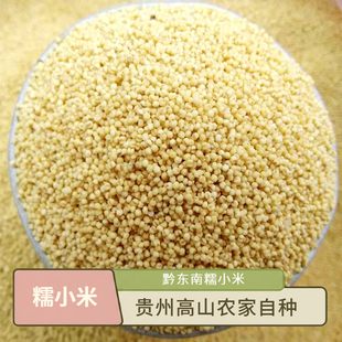 贵州糯小米黔东南黄小米25年新米月子米粟米带壳锦屏小米黄平小米