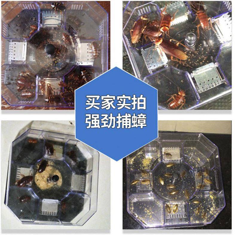 灭抓蟑螂药家用除捕捉器强力屋非无毒克星一窝端消杀神器盒全窝端