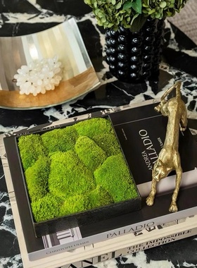 金属黑色方形永生苔藓盆景  样板房酒店玄关床头柜桌面装饰花