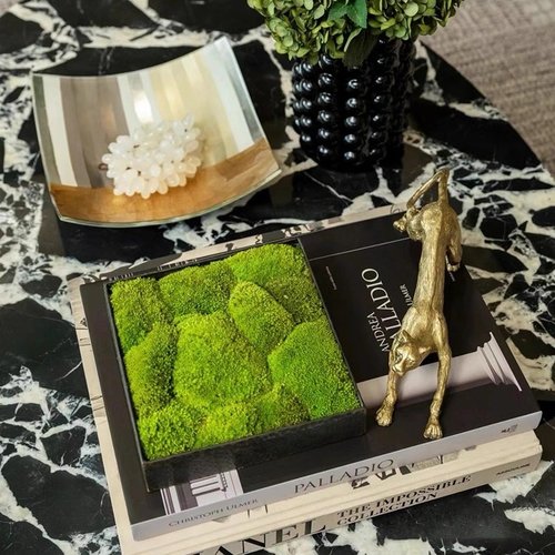 金属黑色方形永生苔藓盆景