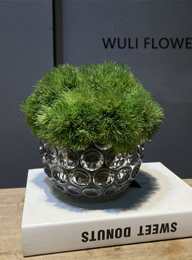 现代轻奢仿真绿色花艺套装 样板间家居茶几边几桌面假花摆件