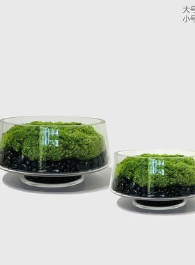 永生苔藓盆景 现代新中式样板房会所酒店  洽谈桌茶几台面摆件